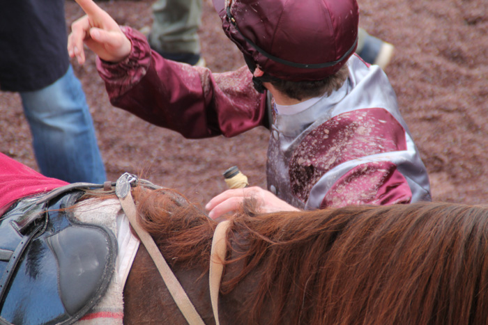 Course chevaux