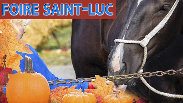 foire-saint-luc-gavray-a-la-une