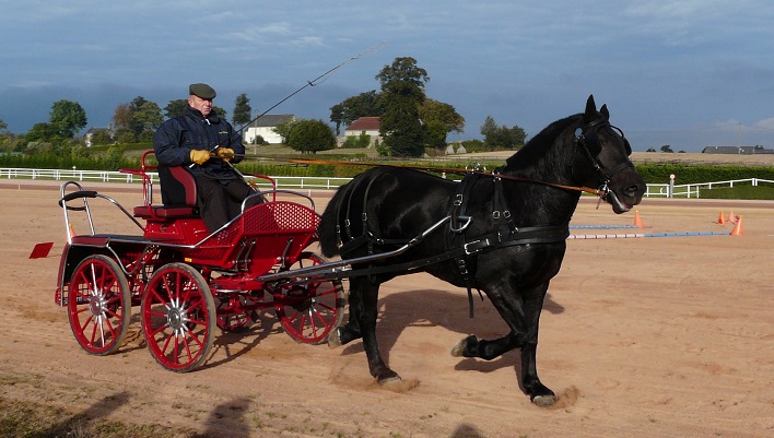 Christophe-Girard-Envieuse-des-Roches