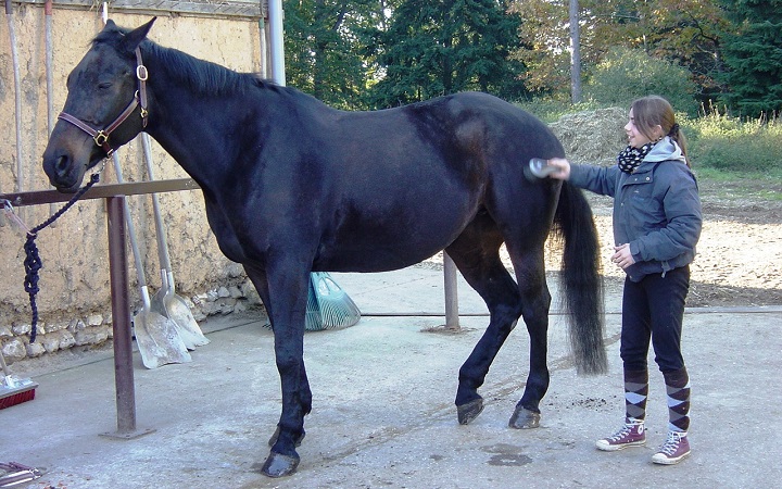 Formation-Document-Unique-evaluation-Risque-entreprise-equestre