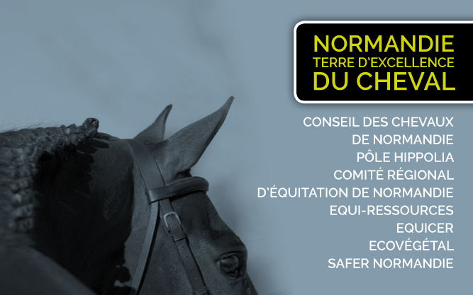 Normandie-terre-excellence-cheval-EQUI-SEINE