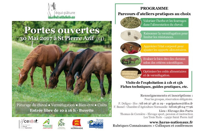 equi-pature-saint-pierre-azif-calvados