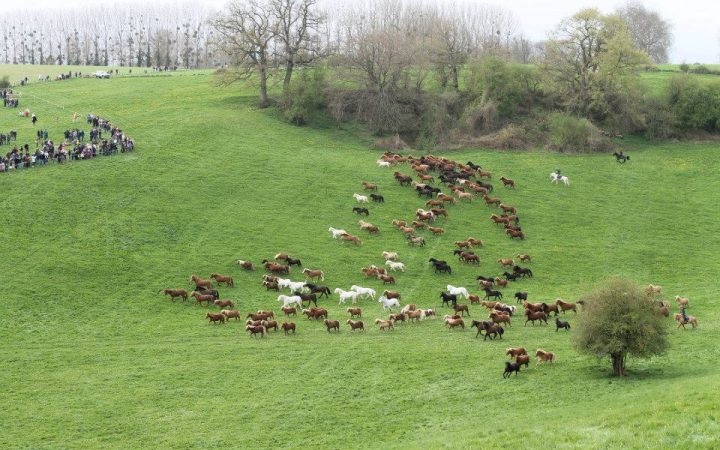 Bois-Guilbert-Mise-a-l-herbe