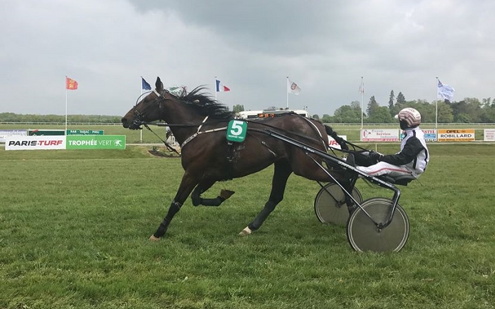 Bingo-d-attaque-trophee-vert-Bernay-2017-Photo-Le-Trot