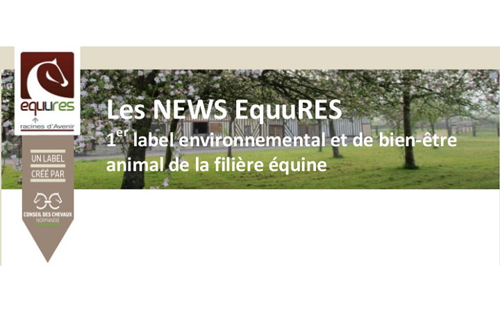 Newsletter-EquuRES-2017-n1