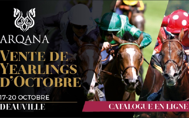 vente-yearlings-octobre-2017-deauville