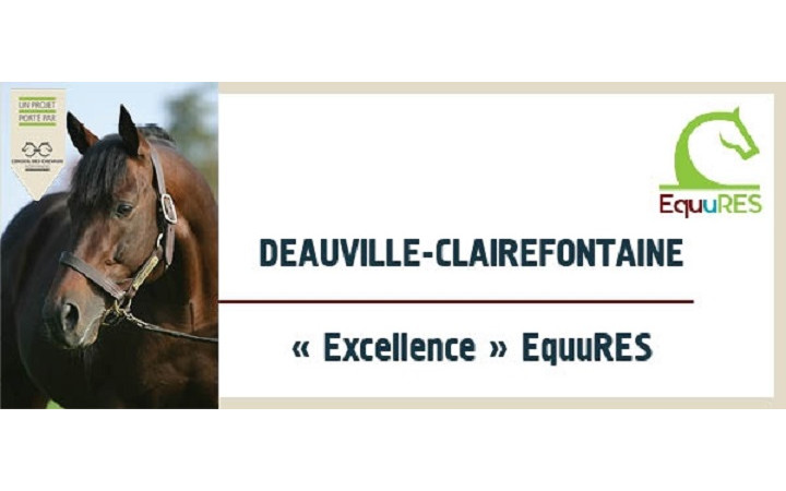 cp-deauville-equures-2017