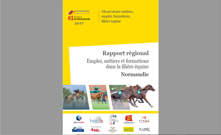 rapport-emplois-metiers-normandie-2017