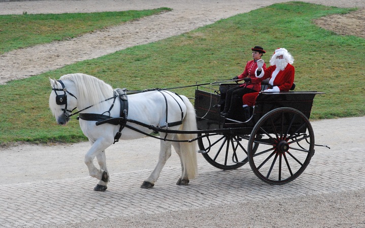 spectacle-noel-haras-du-pin-credit-Jean-Chevret
