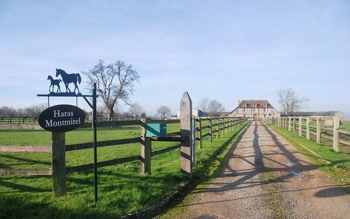 Haras-Montmirel