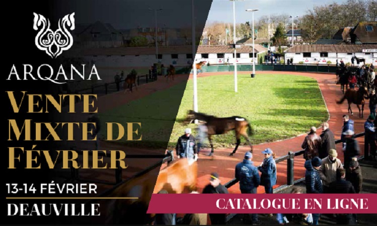 ventes-arqana-fevrier-2018