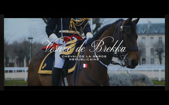 vesuve-de-brekka-2018