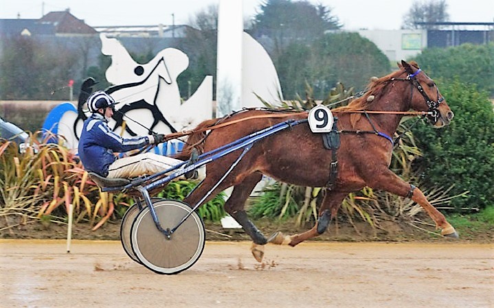 Danube-Meslois-Cherbourg-2018-Credit-Jean-Bougie-Equin-Normand