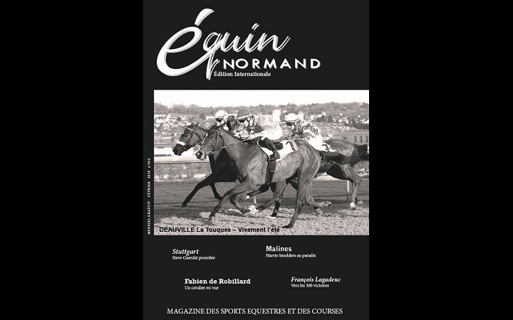 equin-normand-fevrier-2018