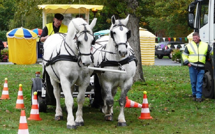 congres-2012-concours-meneurs-territoriaux
