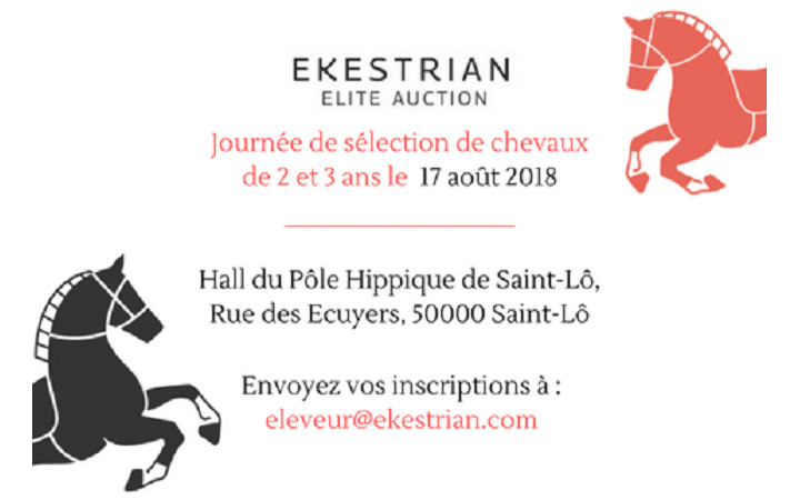 Rassemblement-du-17-Août-ekestrian