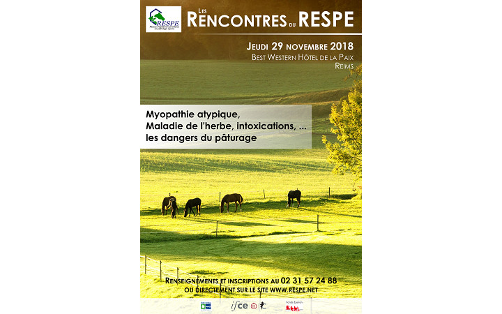 affiche-rencontre-RESPE-2018-une