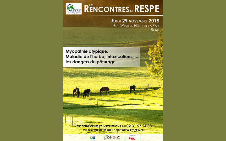 affiche-rencontre-RESPE-27112018