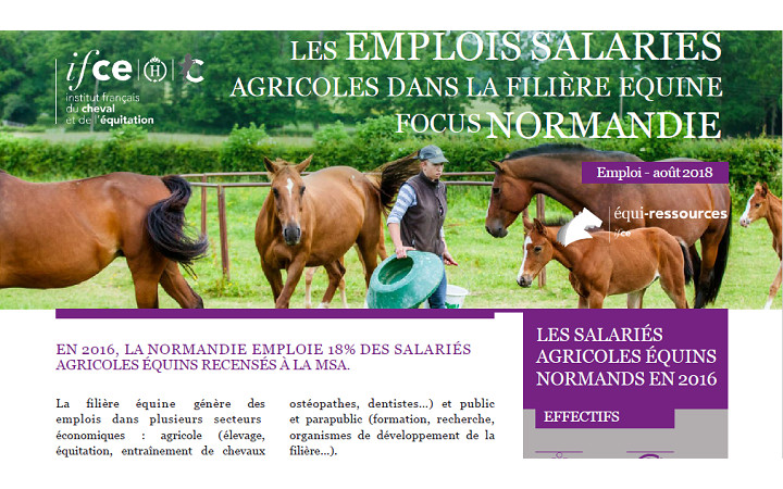 publication-equiressources-aout-2018-emplois-salaries-normandie