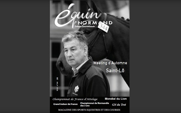 equin-normand-108