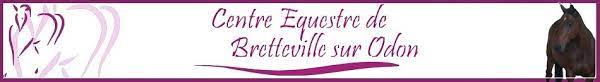 Logo Centre équestre de Bretteville-sur-Odon
