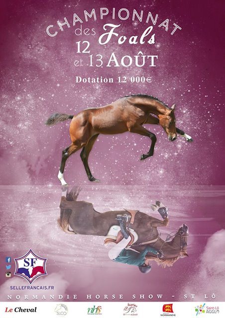 championnat-france-foals-NHS-2017