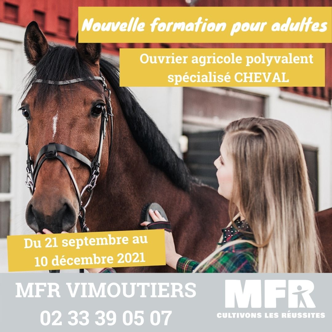 Formation Ouvrier Cheval Normandie Vimoutiers