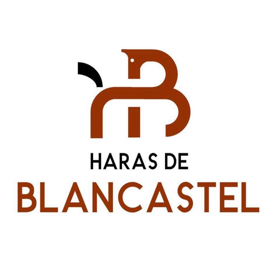 Logo du Haras de Blancastel