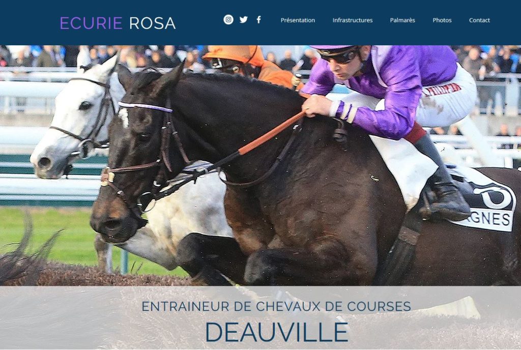 Ecurie ROSA entraineur chevaux courses