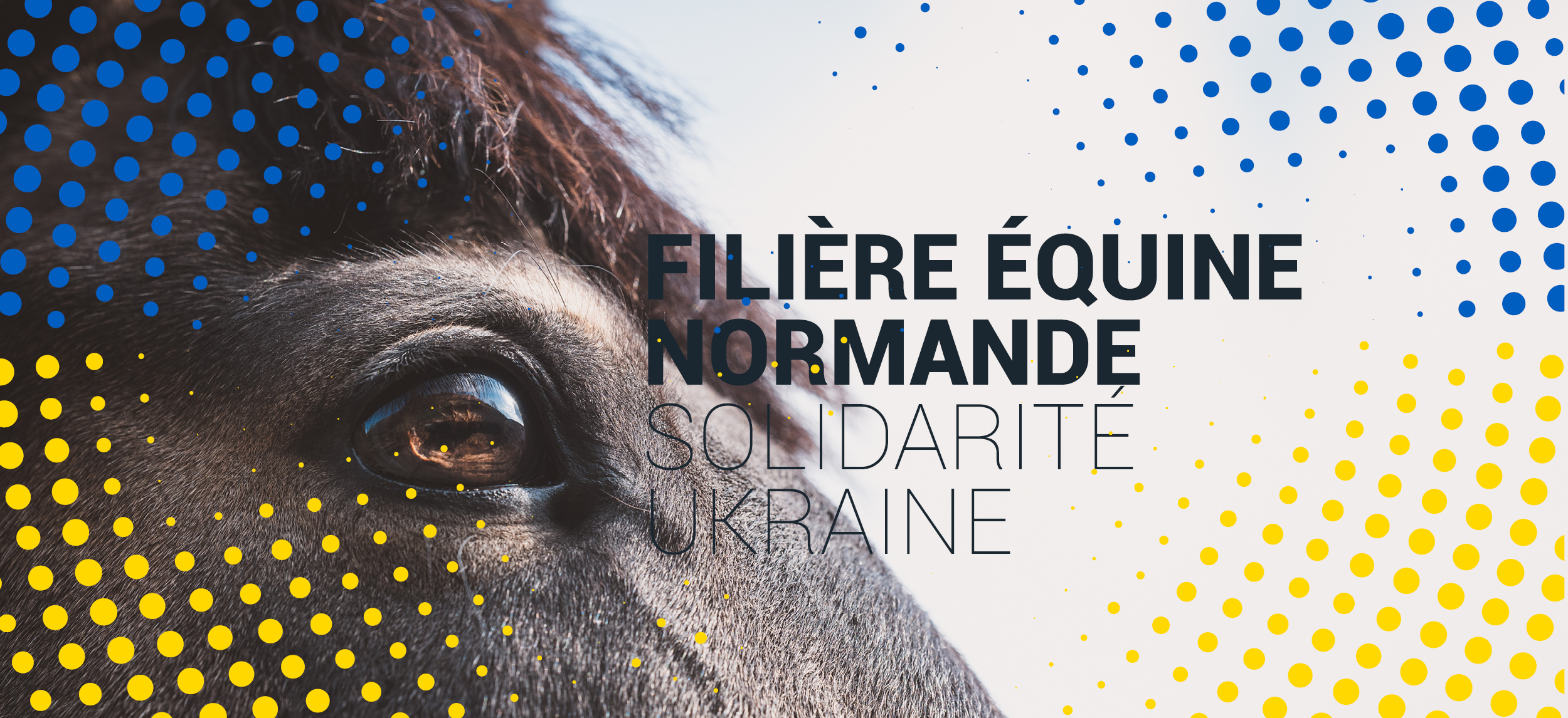 Solidarité Ukraine Filière équine normande