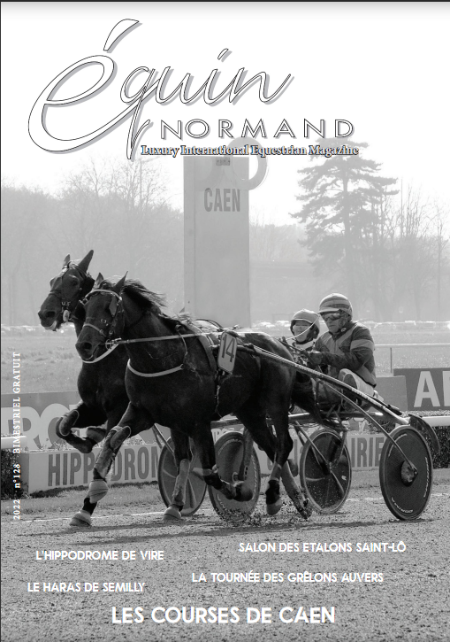 Equin normand d'avril mai 2022