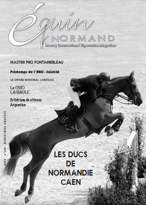Equin Normand 129