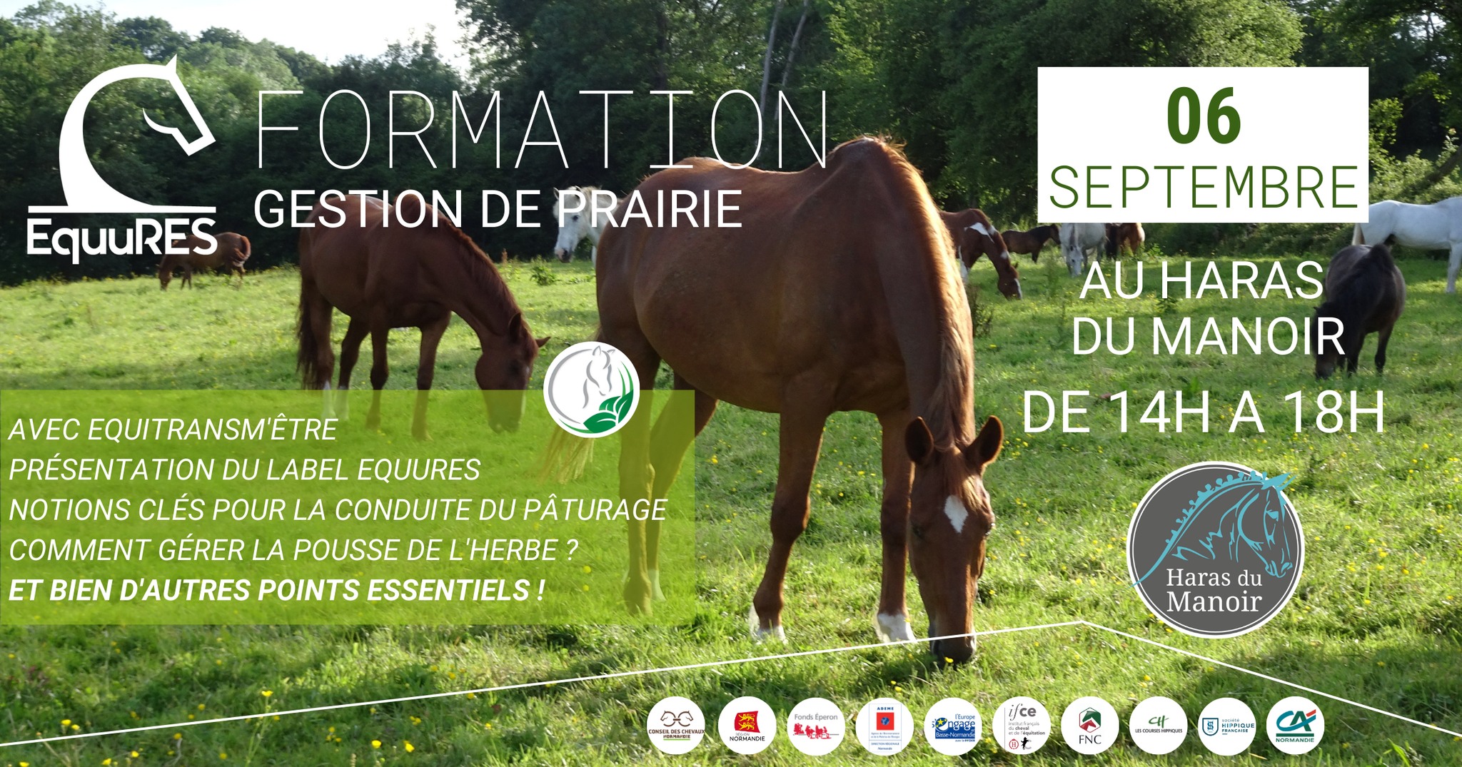 Formation gestion de prairie Haras du Manoir Calvados- label Equures - cheval