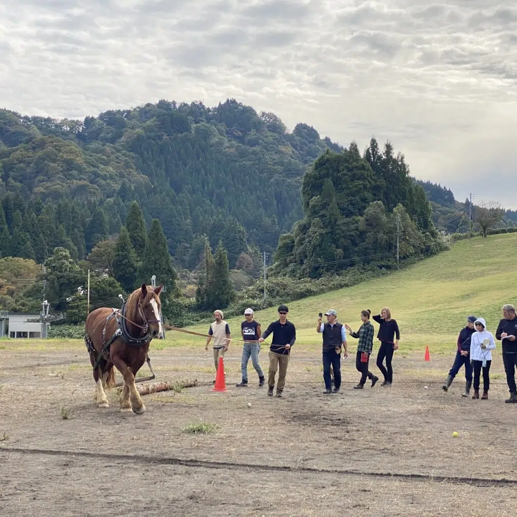 Cheval de trait japonais tractant un tronc d'arbee guidé par un japonais.